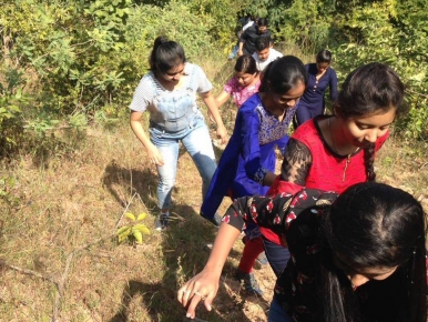 picnic-nov-2016-5