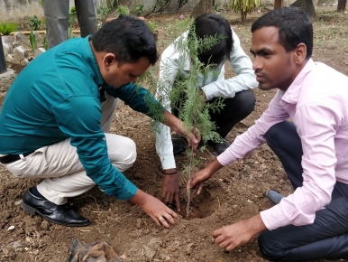 tree-plantation-2018-1