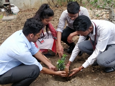 tree-plantation-2018-2